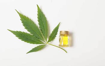 cbd oil